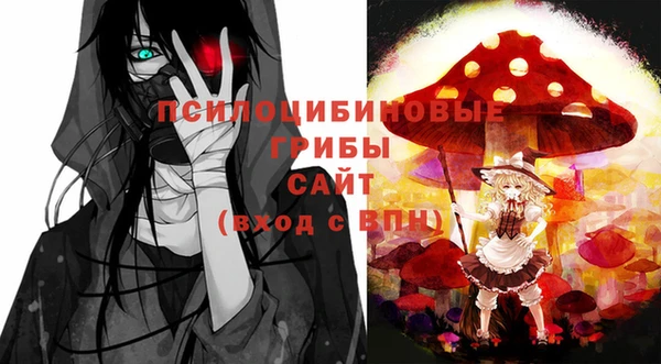 PSILOCYBIN Баксан