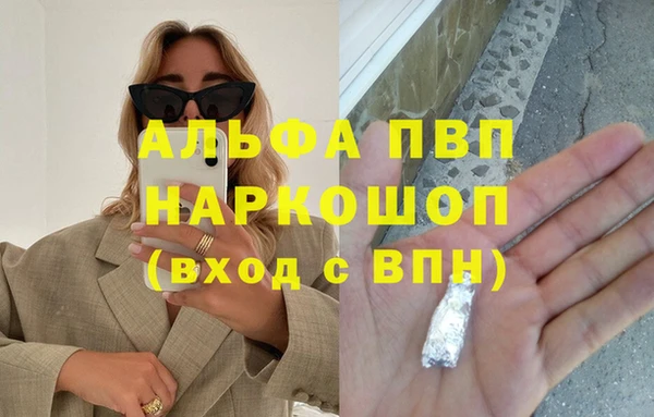 бошки Ладушкин