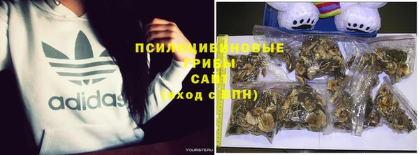 МДПВ Белокуриха