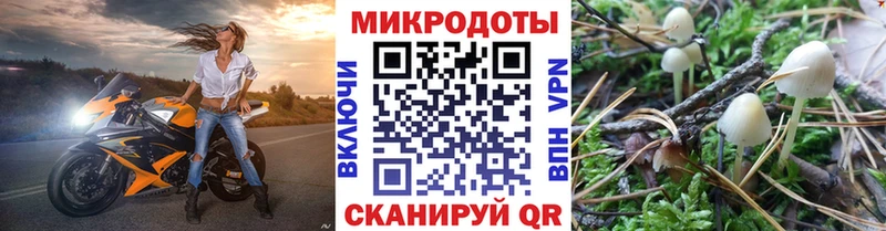 Галлюциногенные грибы Psilocybine cubensis  Ершов 